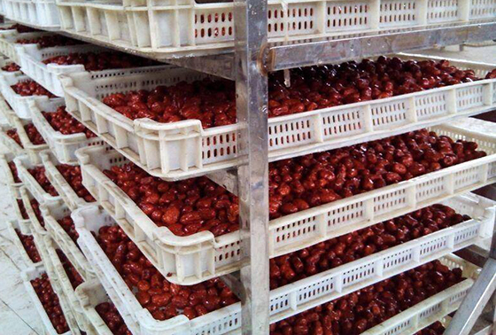 佛山红枣烘干项目