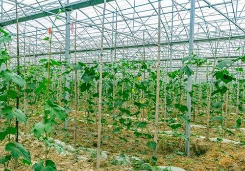 助力实现“双碳”，中国空气能领军品牌乐鱼空气能鼓励采用清洁能源供热！