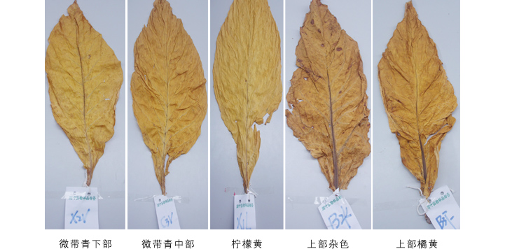 乐鱼空气能热泵高温烘干机故障维修