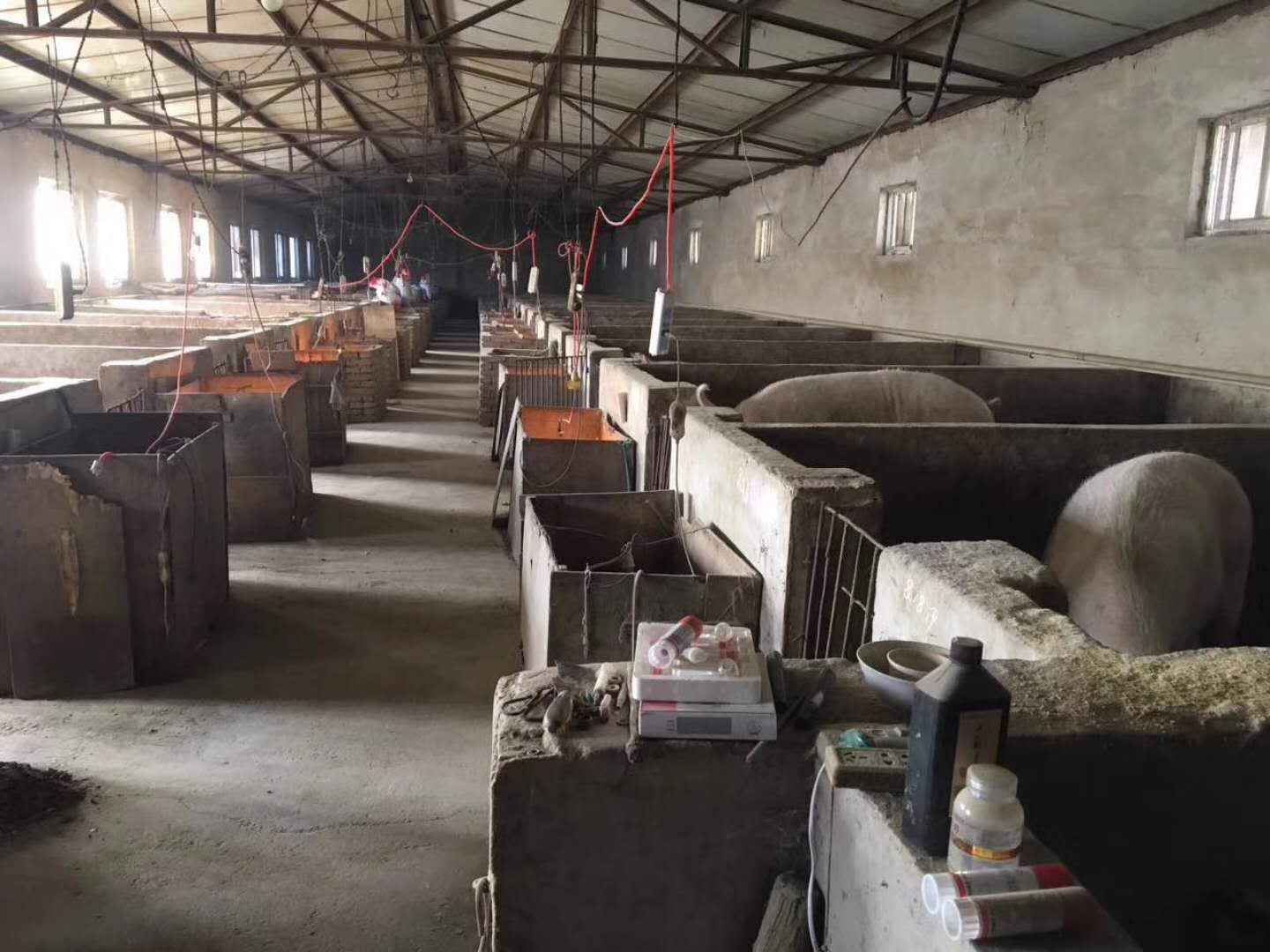 空气源热泵养殖地暖 空气源热泵养殖地暖