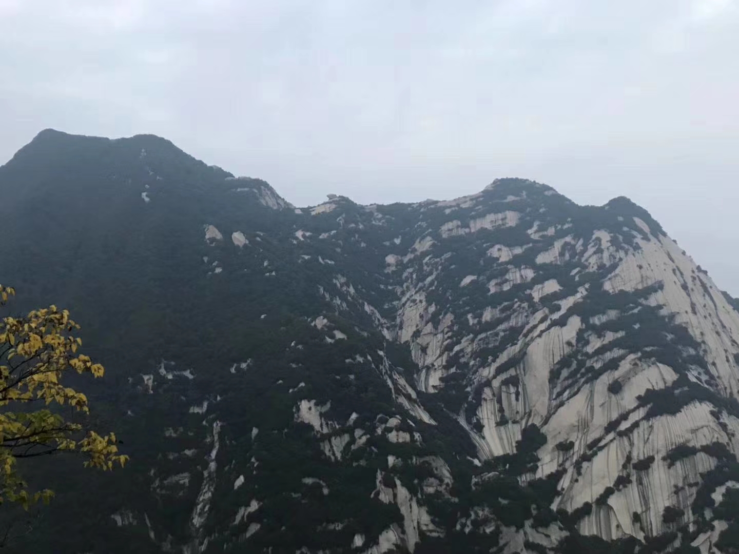 乐鱼空气能精英